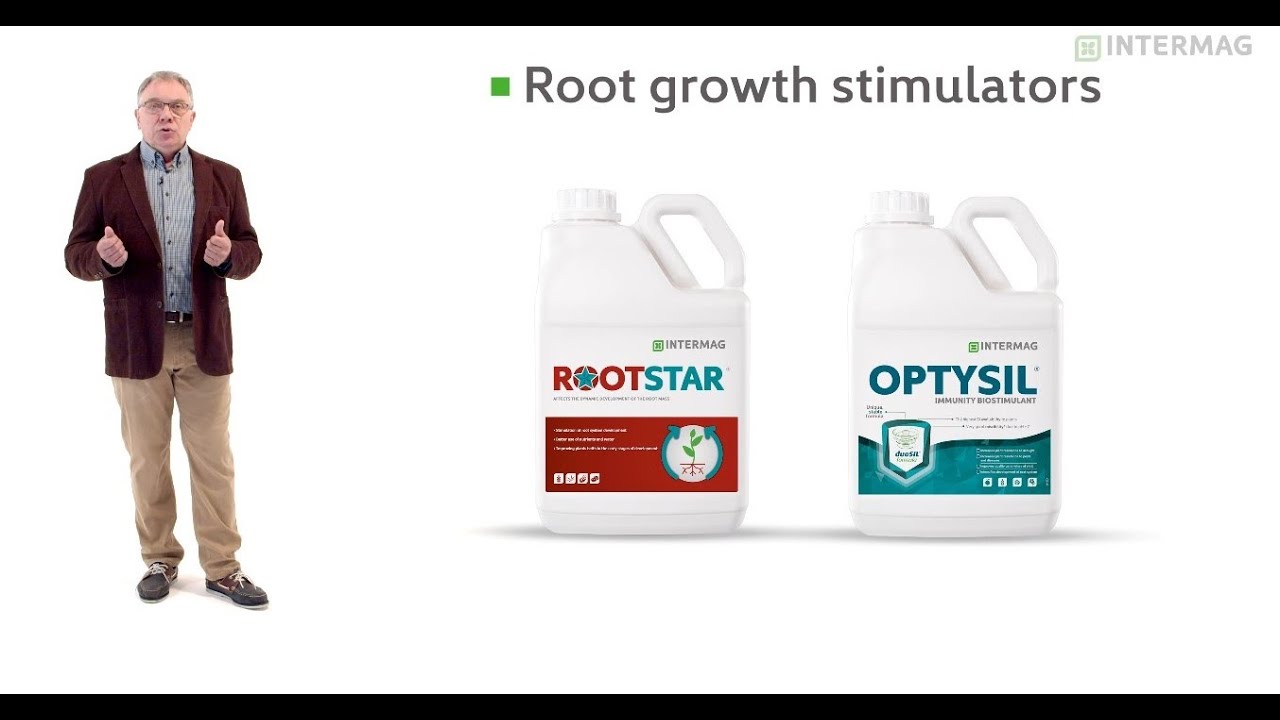 root-growth-stimulation-how-to-ensure-maximum-plant-nutrition